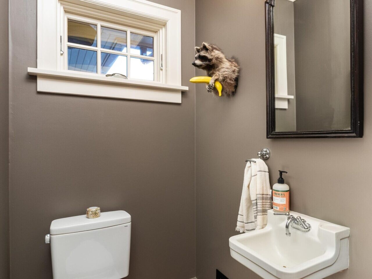 A cozy Portland bathroom features a toilet, a small sink with a mirror above it, and a towel hanging on the wall. There's even a curious raccoon peering in through a small window. This charming detail is just one of many you'll find with the guidance of a top Portland real estate agent.