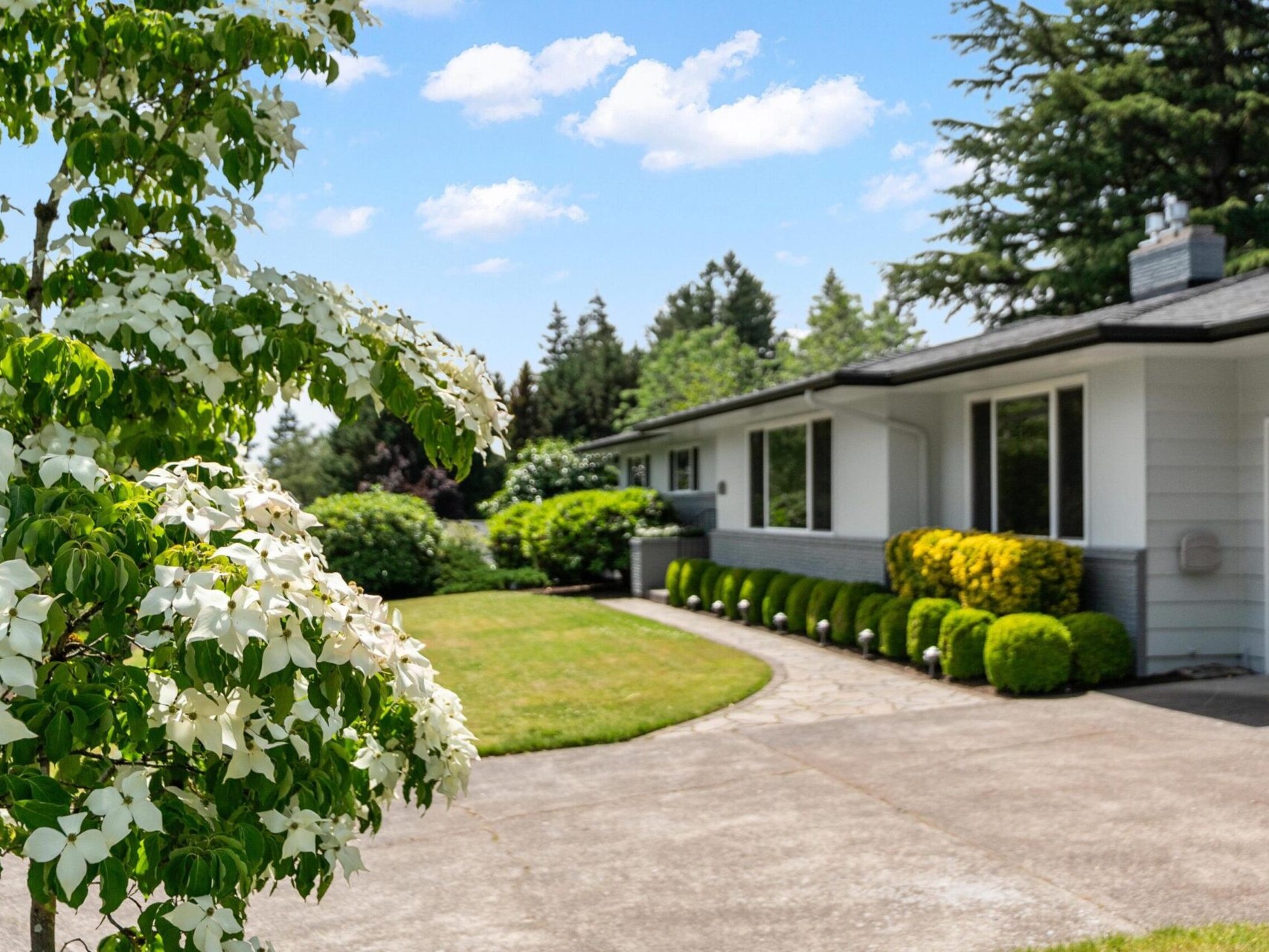 A suburban home with a curved driveway, surrounded by a lush green lawn and various trees and shrubs. In the foreground, there is a flowering tree with white blossoms. The sky is blue with scattered clouds.