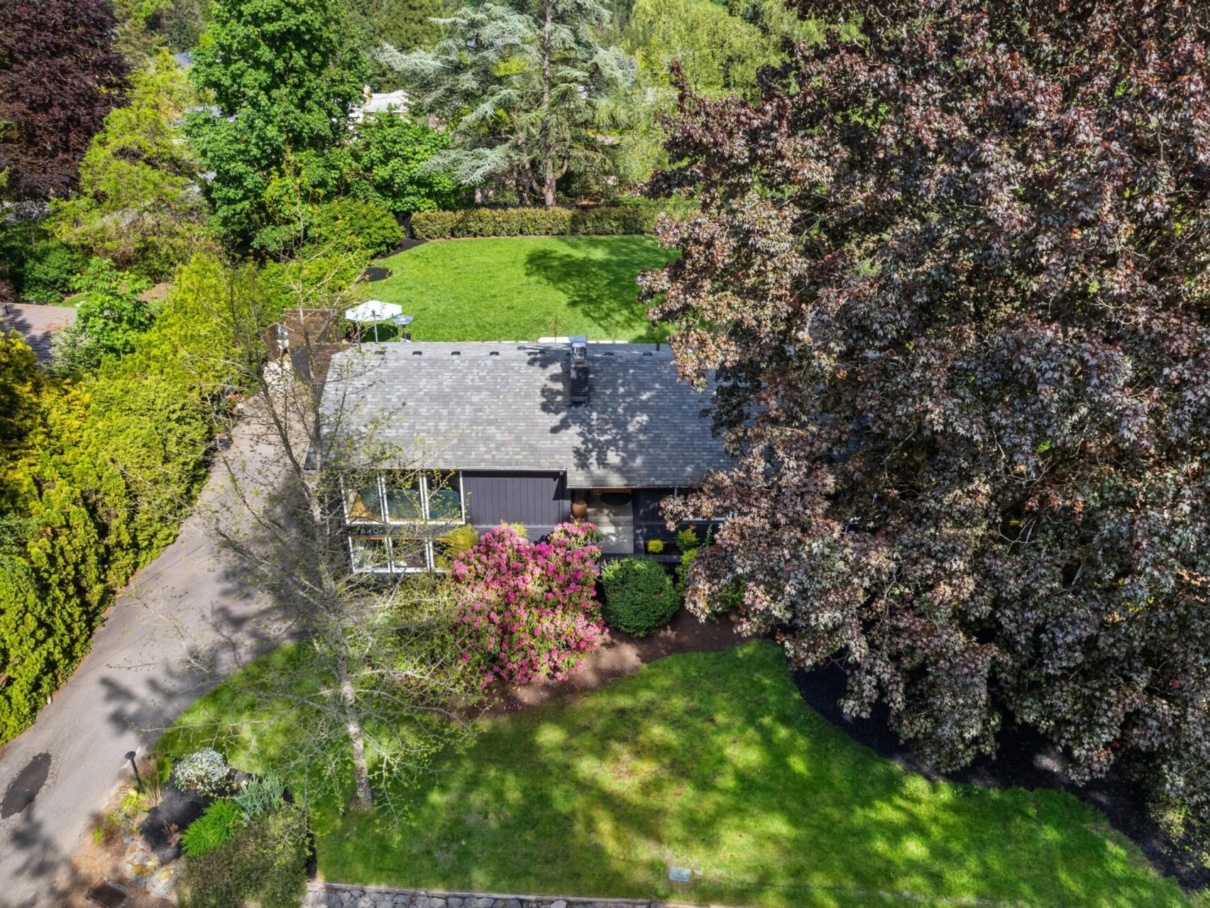 Aerial view of a house surrounded by lush greenery, including large trees and a manicured lawn. Theres a pathway leading to the entrance, and colorful bushes are visible near the building.