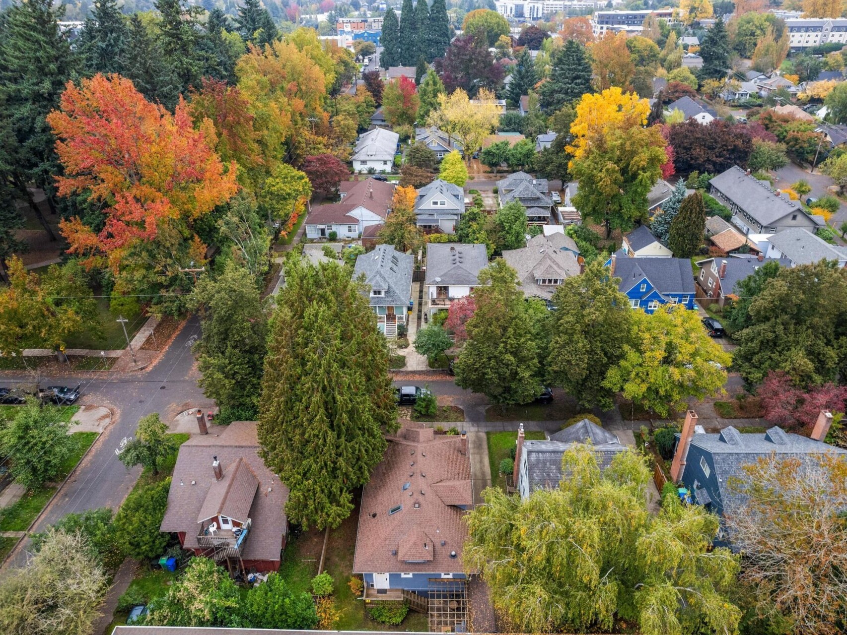 Aerial view of a suburban neighborhood with tree-lined streets and houses surrounded by a variety of colorful autumn trees. The foliage is a mix of green, red, orange, and yellow, highlighting the seasonal change.