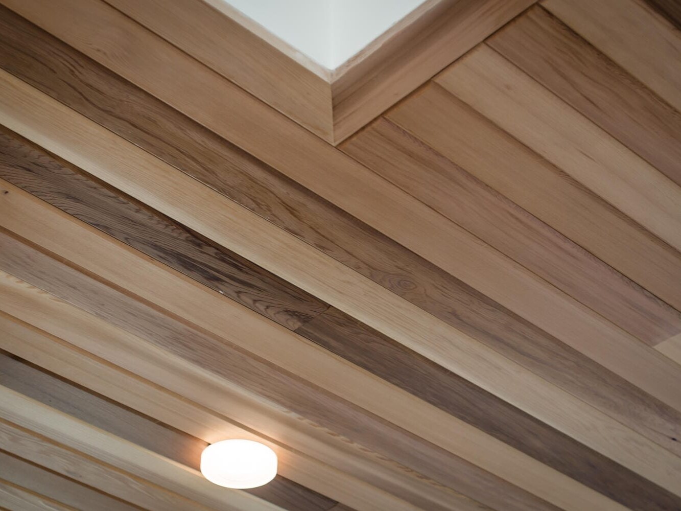 Wooden ceiling with light brown panels and a single recessed circular light, reminiscent of Portland, Oregon's rustic charm. The panels are arranged in a parallel pattern, creating a natural and warm aesthetic.