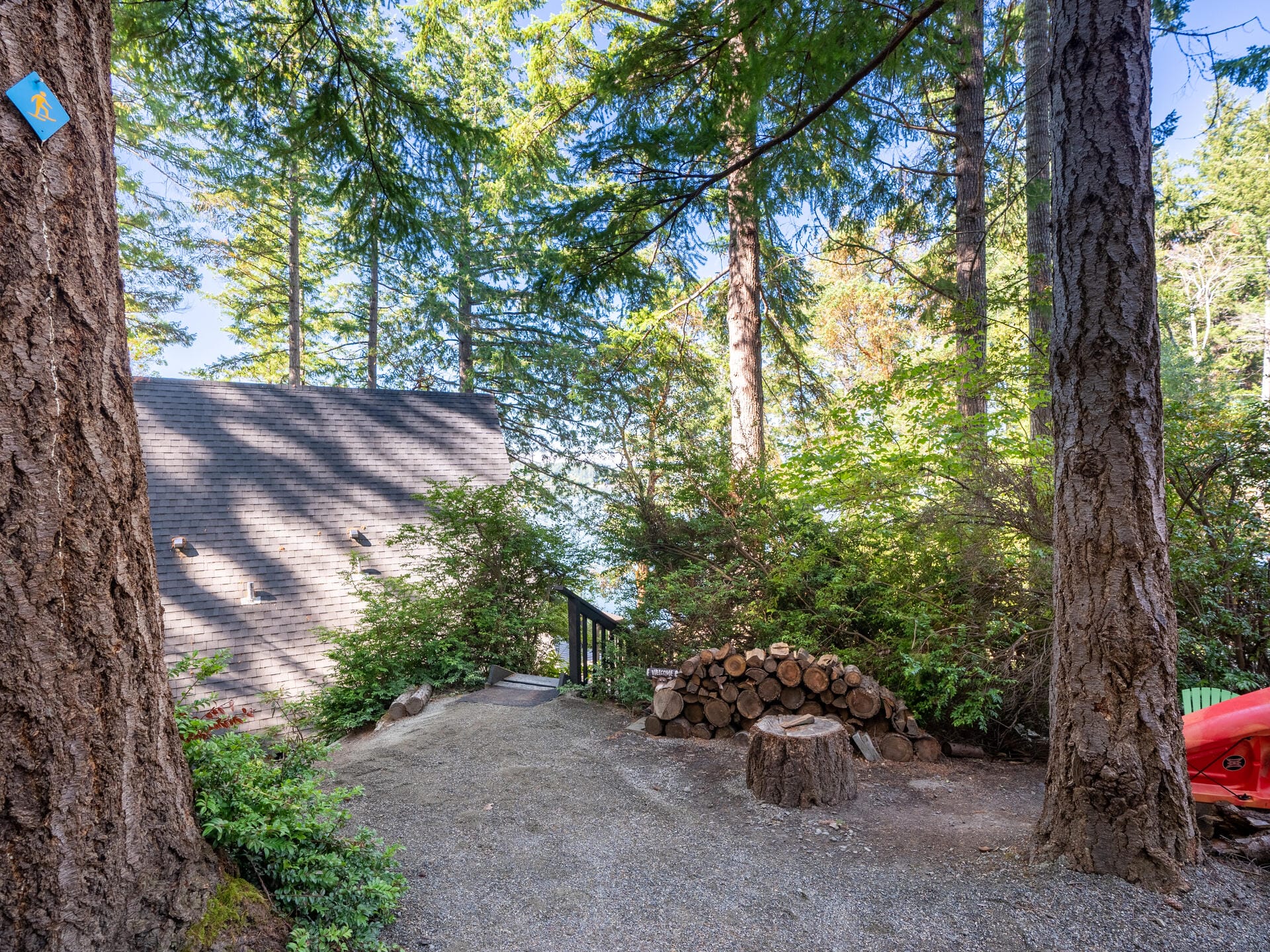 A serene forest scene features a modern house with a dark exterior partially hidden among tall trees. A stack of firewood sits nearby on a gravel path, and sunlight filters through the leafy canopy above, creating dappled light on the ground.