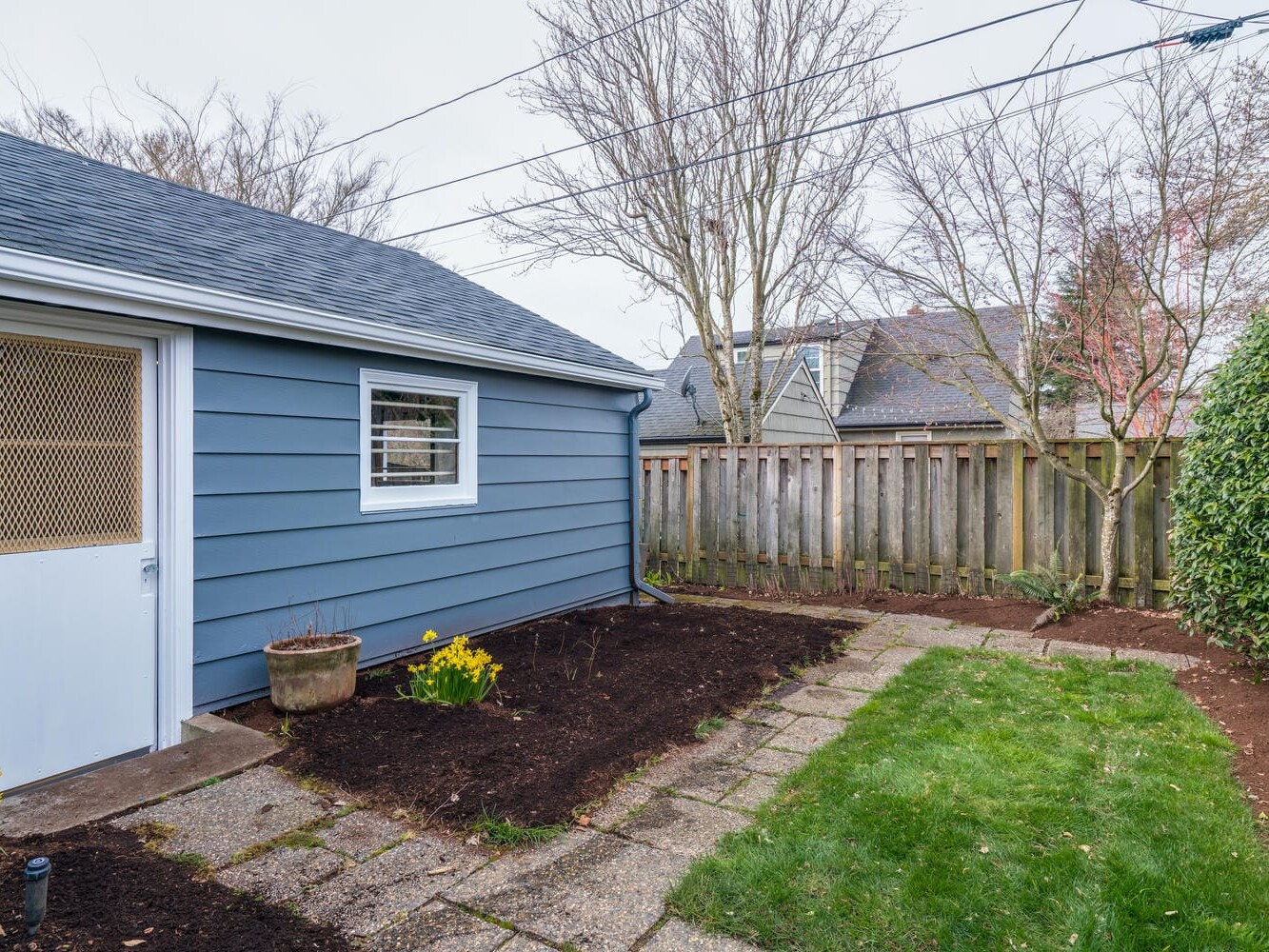 A small backyard garden in Portland, Oregon features a blue shed on the left. There’s a gravel pathway bordered by a grassy area and flowerbeds filled with daffodils. In the background, under a cloudy sky, stand leafless trees and a wooden fence.