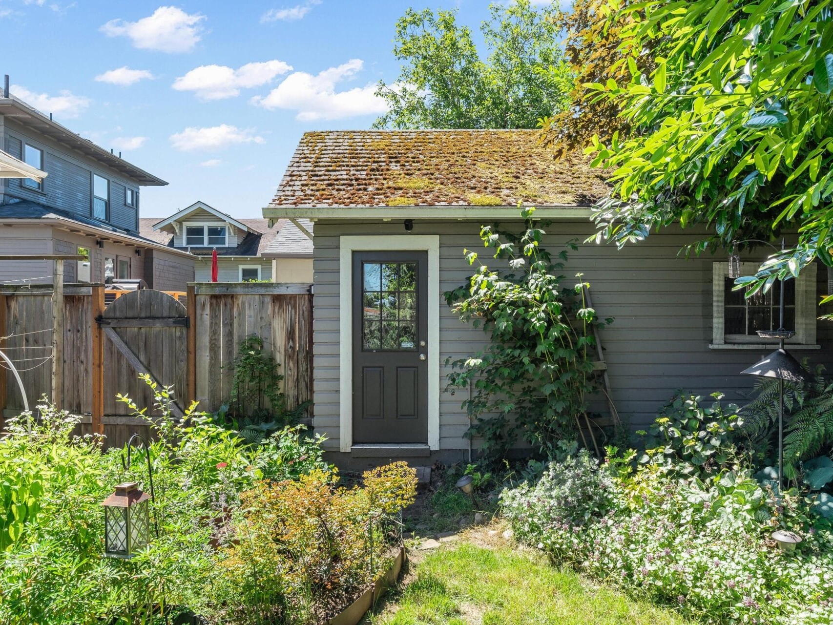 A quaint garden scene with a small, weathered gray shed surrounded by lush greenery and plants. The shed has a moss-covered roof and a wooden door with a window. A wooden fence and neighboring houses are in the background under a blue sky.