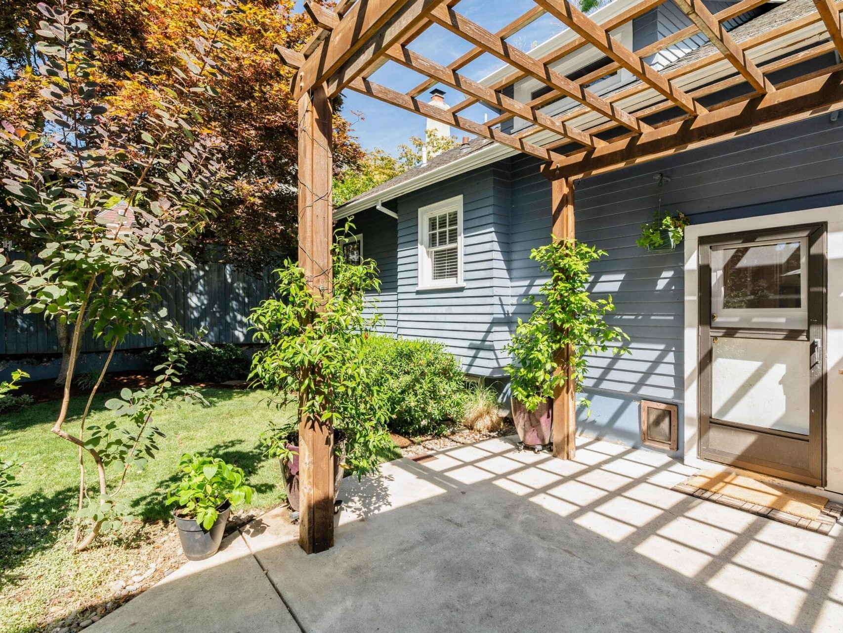 A sunlit backyard featuring a wooden pergola over a concrete patio. The blue house has a glass door. Green plants and trees surround the area, casting shadows on the ground. Bright sunlight illuminates the scene.