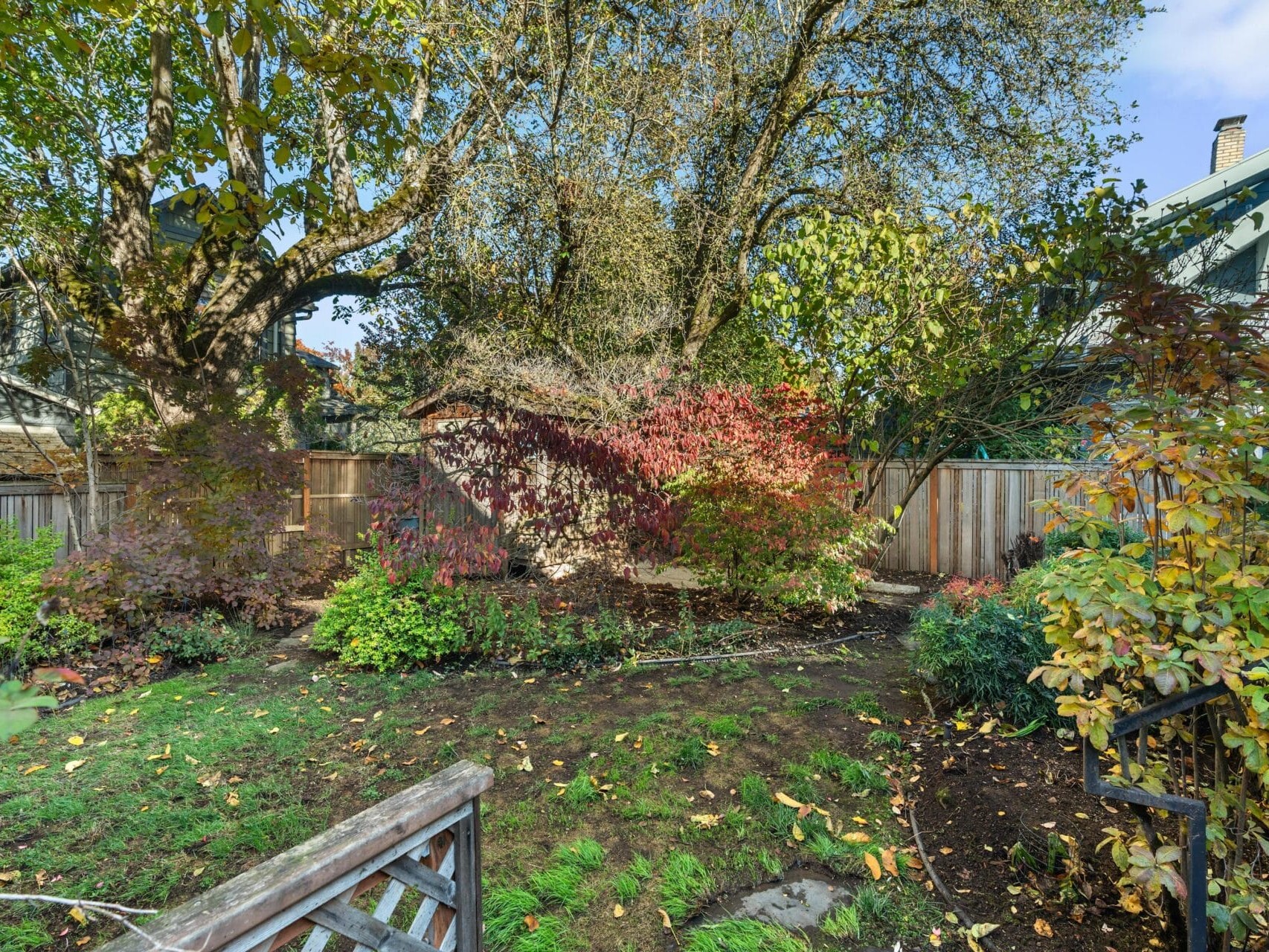A lush backyard garden with a small lawn, bordered by colorful bushes and trees. Autumn leaves in red and orange hues create a vibrant contrast against the green foliage. A wooden fence encloses the area, and a wooden gate is partially visible in the foreground.