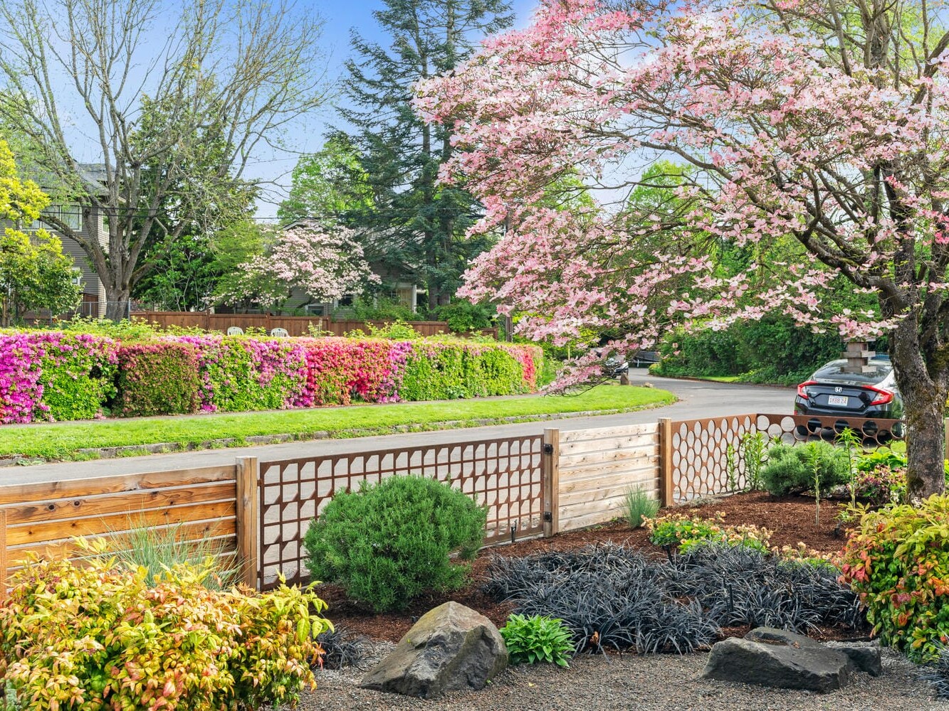 A suburban street with a vibrant garden featuring pink flowering trees, shrubs, and a wooden fence. A car is parked on the road, and the sky is clear. The garden showcases a variety of lush green plants and colorful blossoms.