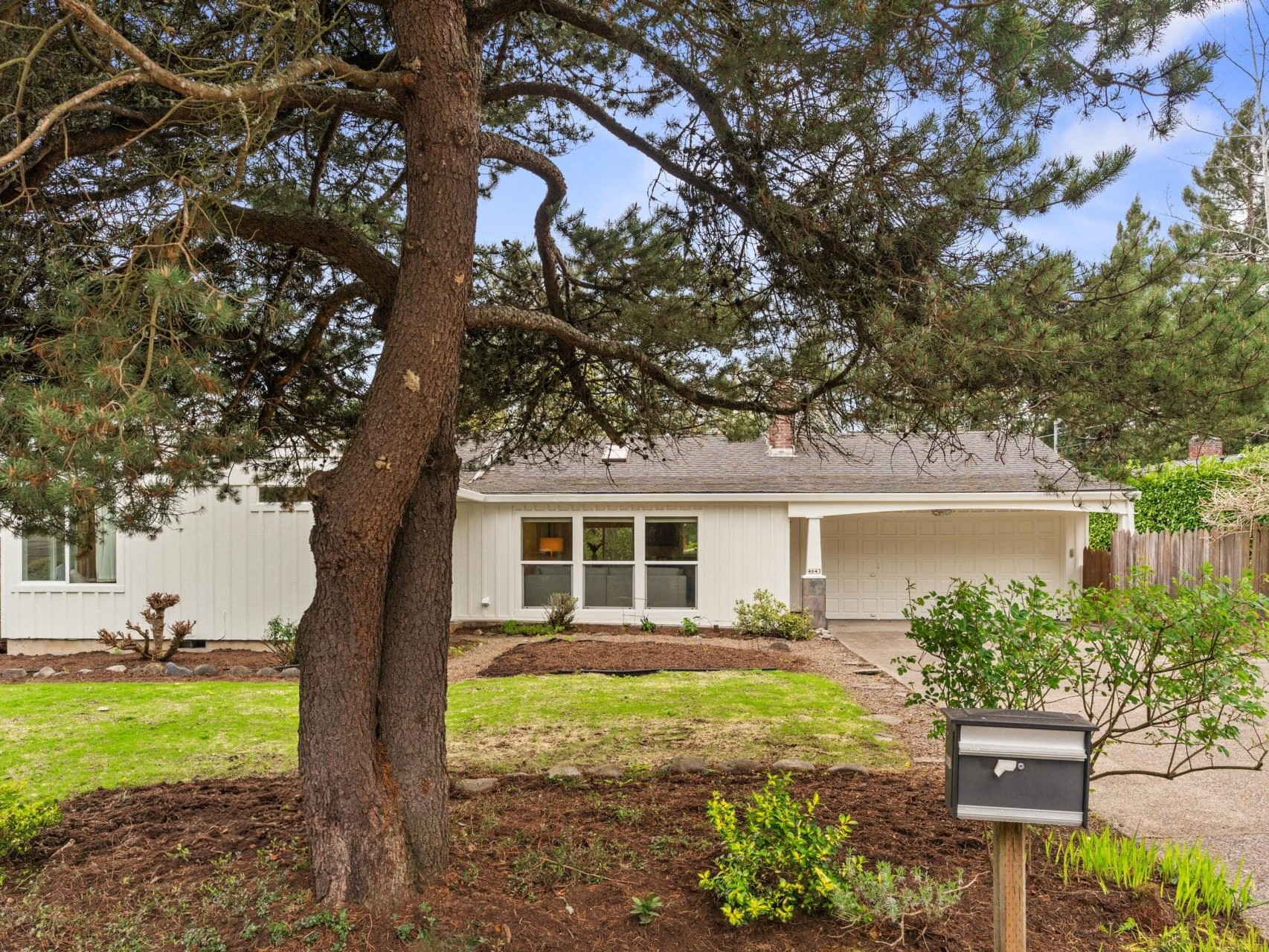 A single-story white house with a large front window, attached carport, and a mailbox by the driveway, partially shaded by a tall tree with spreading branches in the front yard.