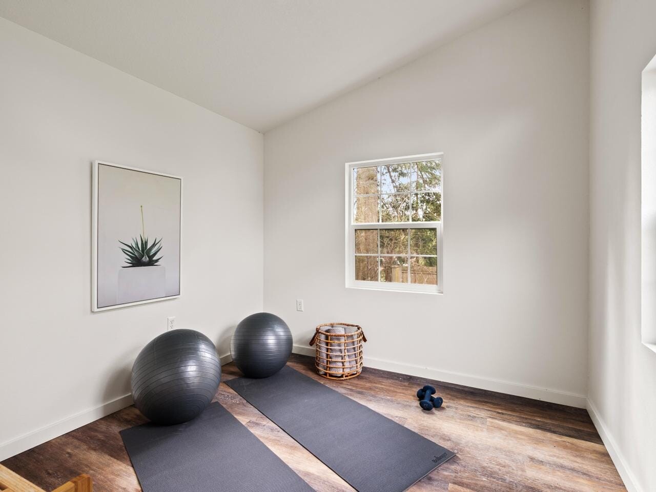 A minimal home gym with two exercise mats, two stability balls, a set of dumbbells, and a basket on a wooden floor. An artwork of a plant hangs on a white wall, and two windows let in natural light.