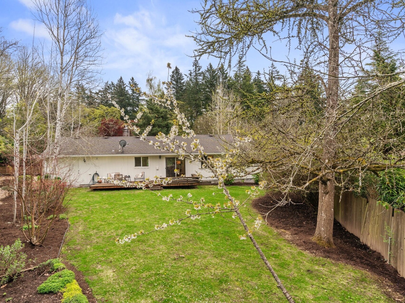 Large backyard with green lawn, trees, and a wooden fence. A white single-story house with a deck and outdoor seating area is visible in the background. Some flowering branches are in the foreground.
