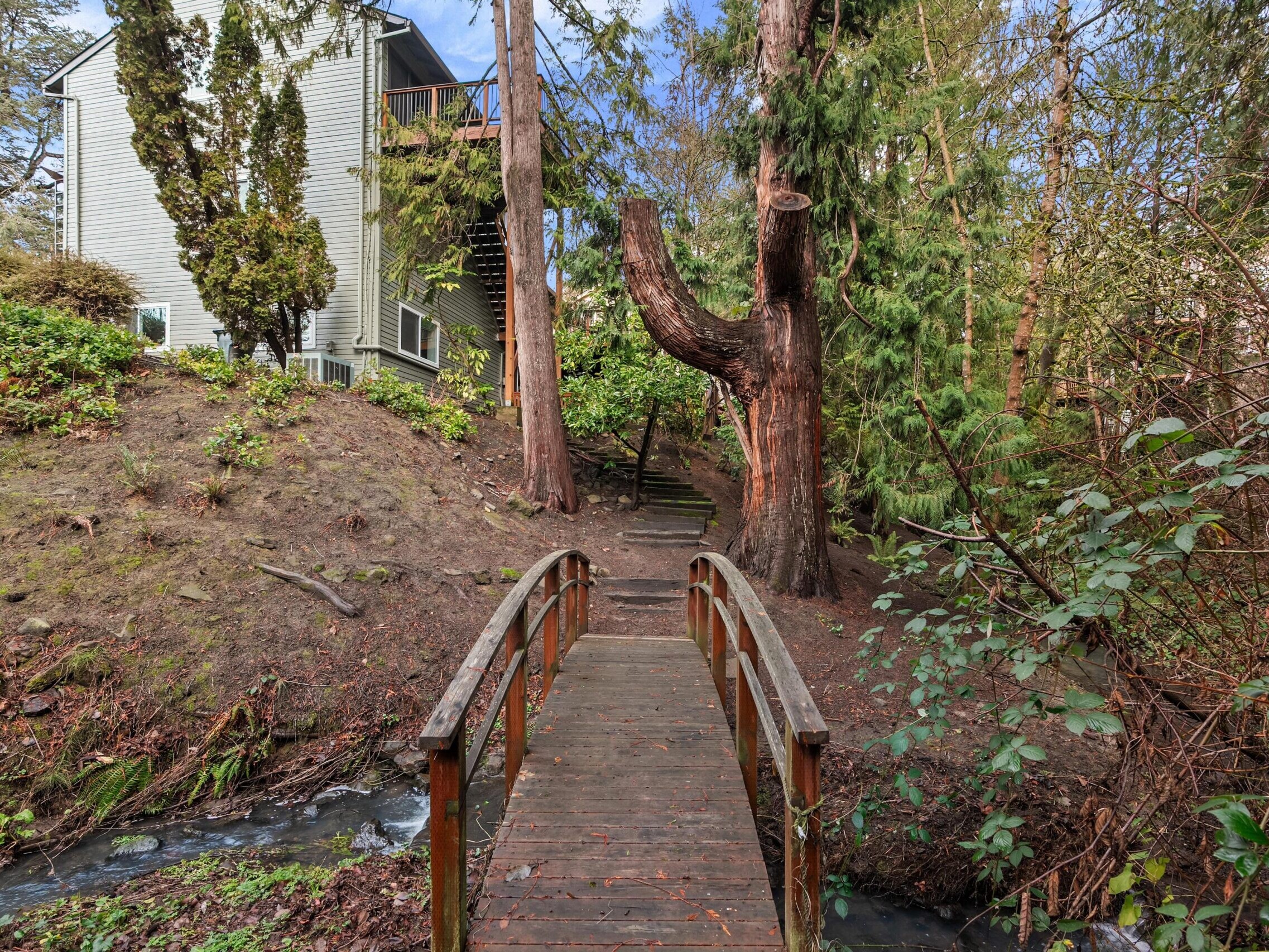 A wooden footbridge crosses a small creek, leading up to stairs and a gray house surrounded by tall trees and dense greenery in a forested area.