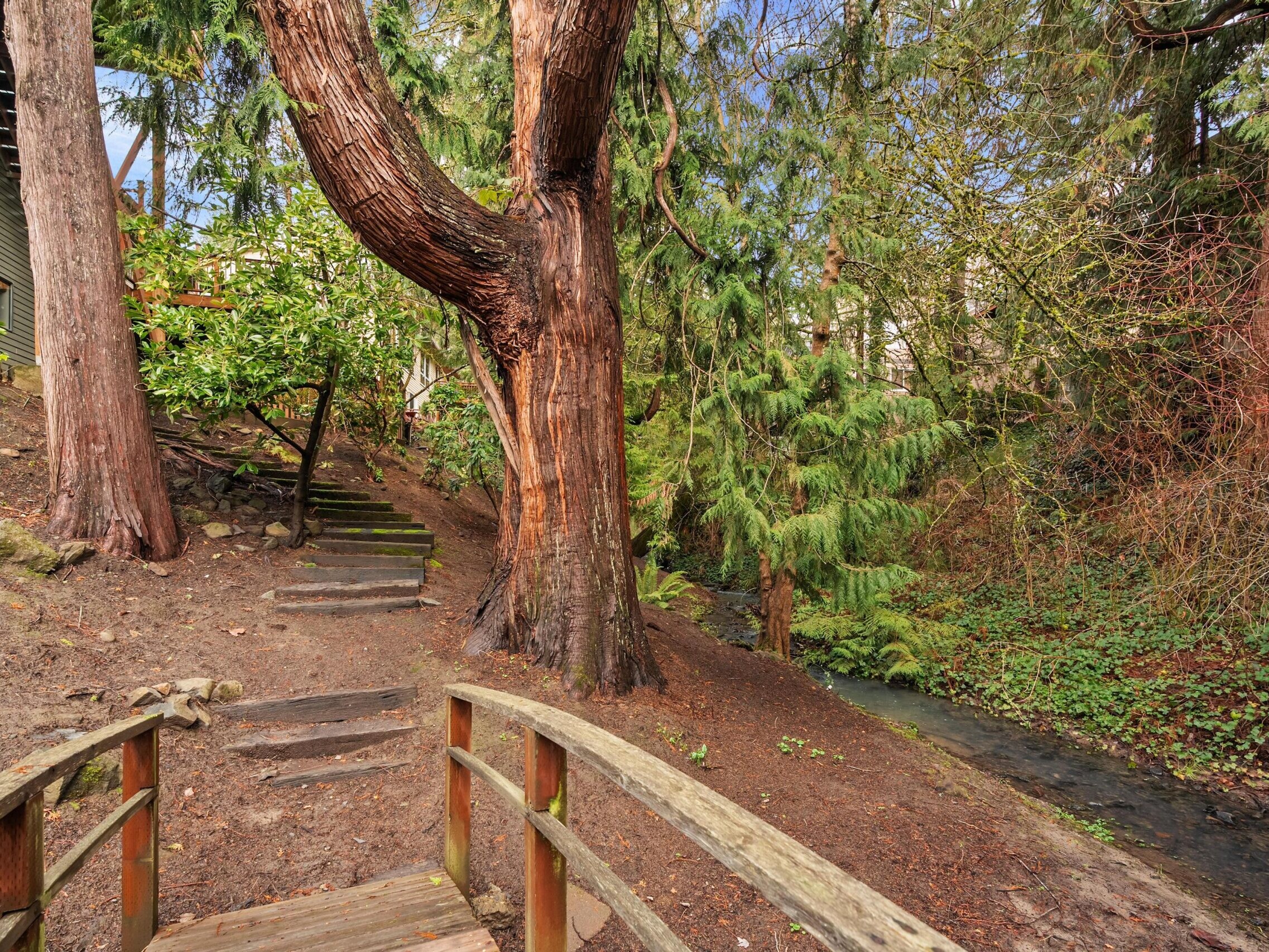 A wooden footbridge crosses a small stream in a forested area with tall trees, green foliage, and a dirt path with stone steps leading up a hill.