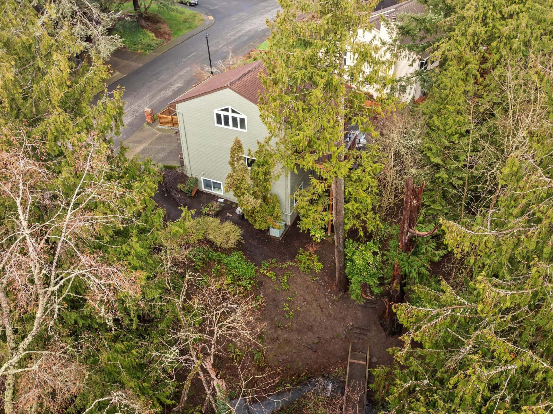 Aerial view of a light-colored two-story house surrounded by tall evergreen trees, with a driveway, street, and partially visible neighboring house nearby. The yard appears natural and wooded.
