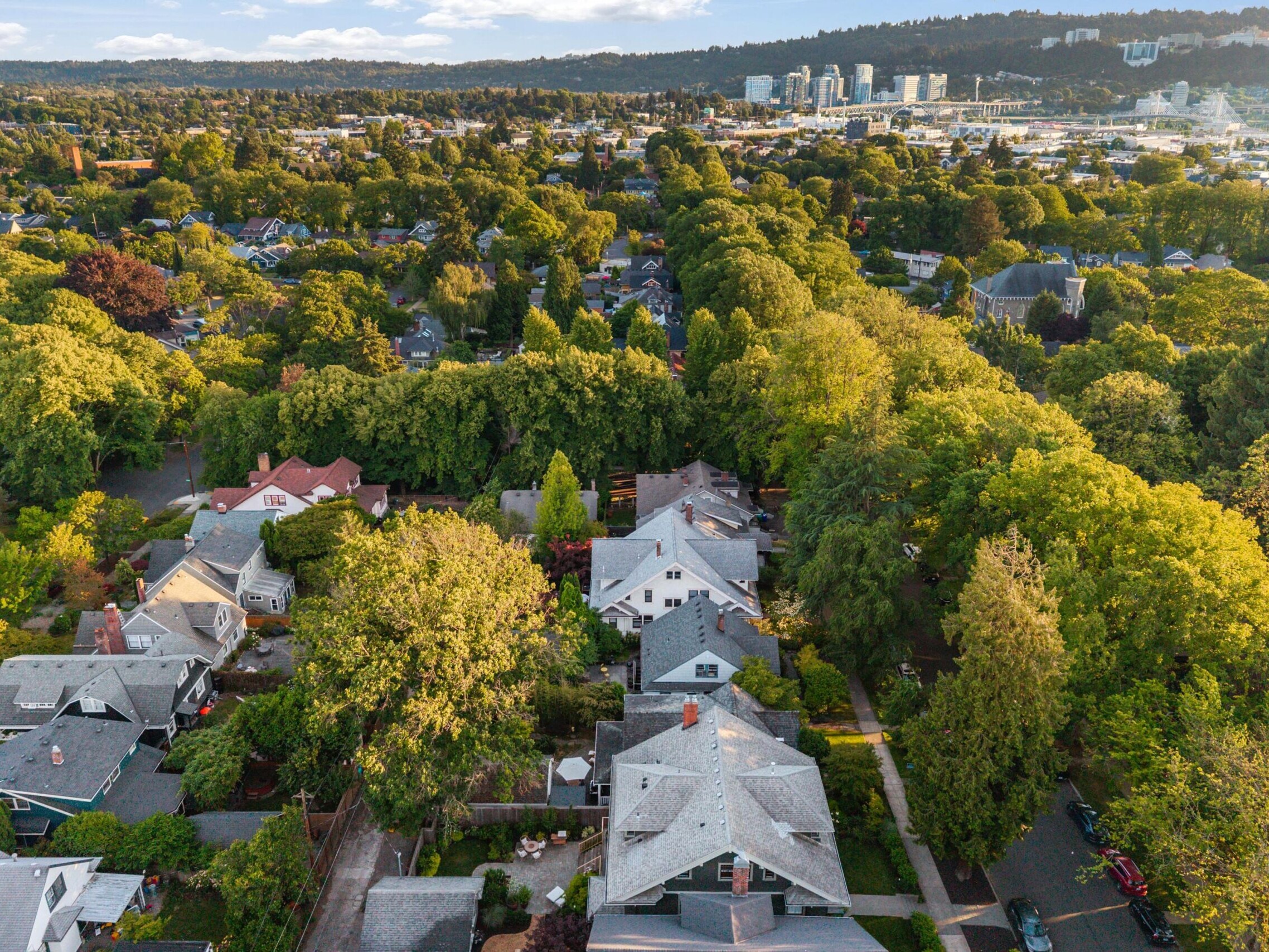 Aerial view of a suburban neighborhood with tree-lined streets, houses with gray roofs, and a city skyline visible in the background under a partly cloudy sky.