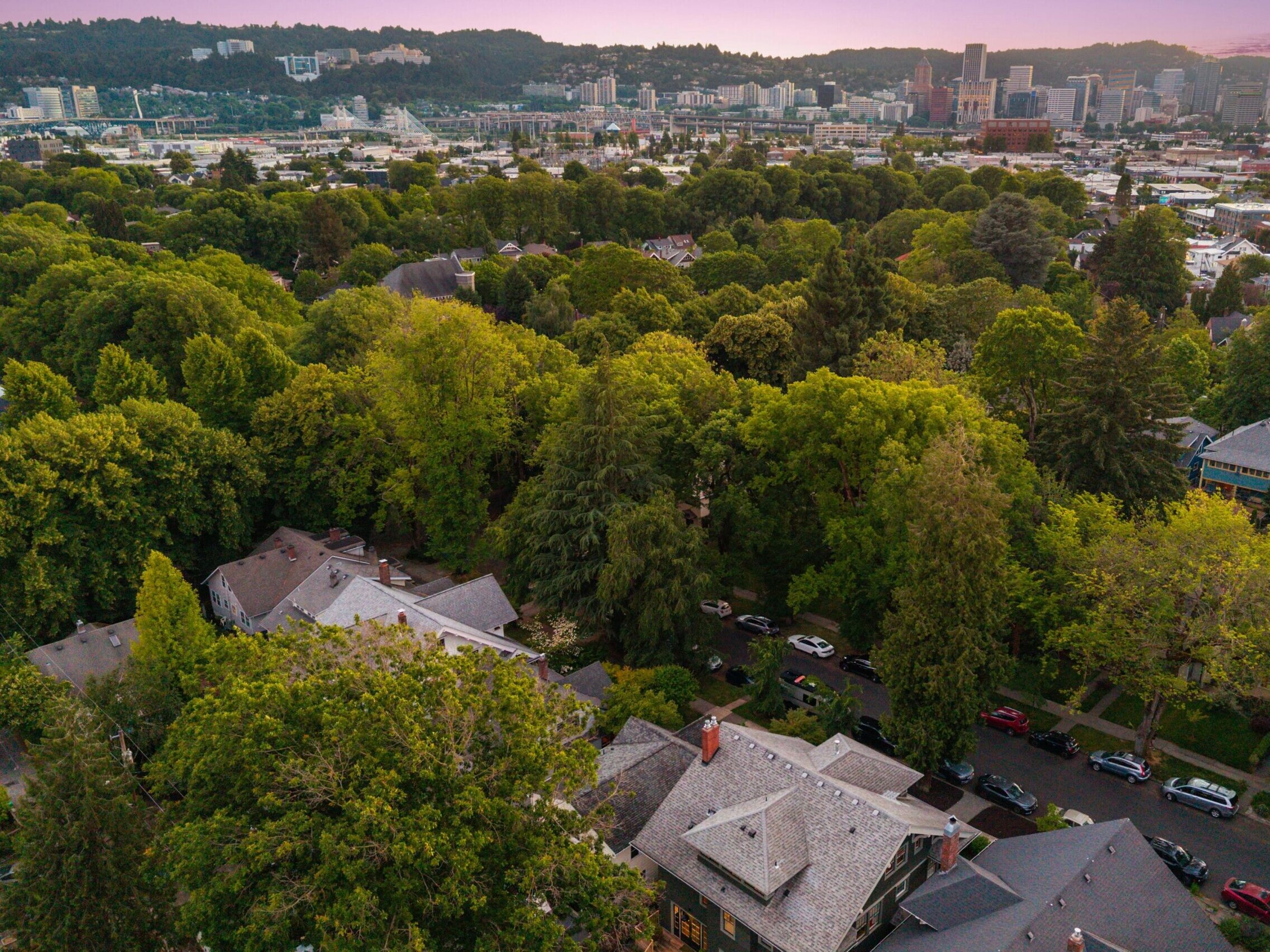 Aerial view of a leafy residential neighborhood with tree-lined streets, houses, and cars parked along the road, with a city skyline and hills in the background under a pinkish sky.