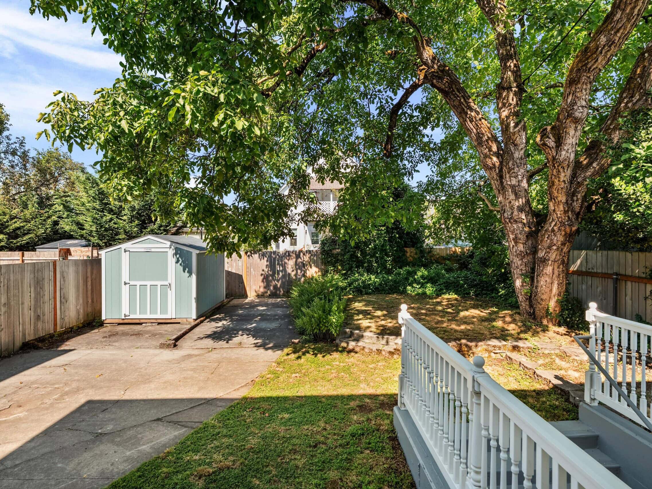 A backyard with a large tree, a gray storage shed, a paved area, and a wooden fence. White stairs lead down to the yard, and there is sunlight and shade throughout the space.